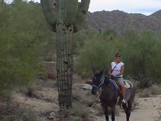 ... parks combined--over 70 mil...